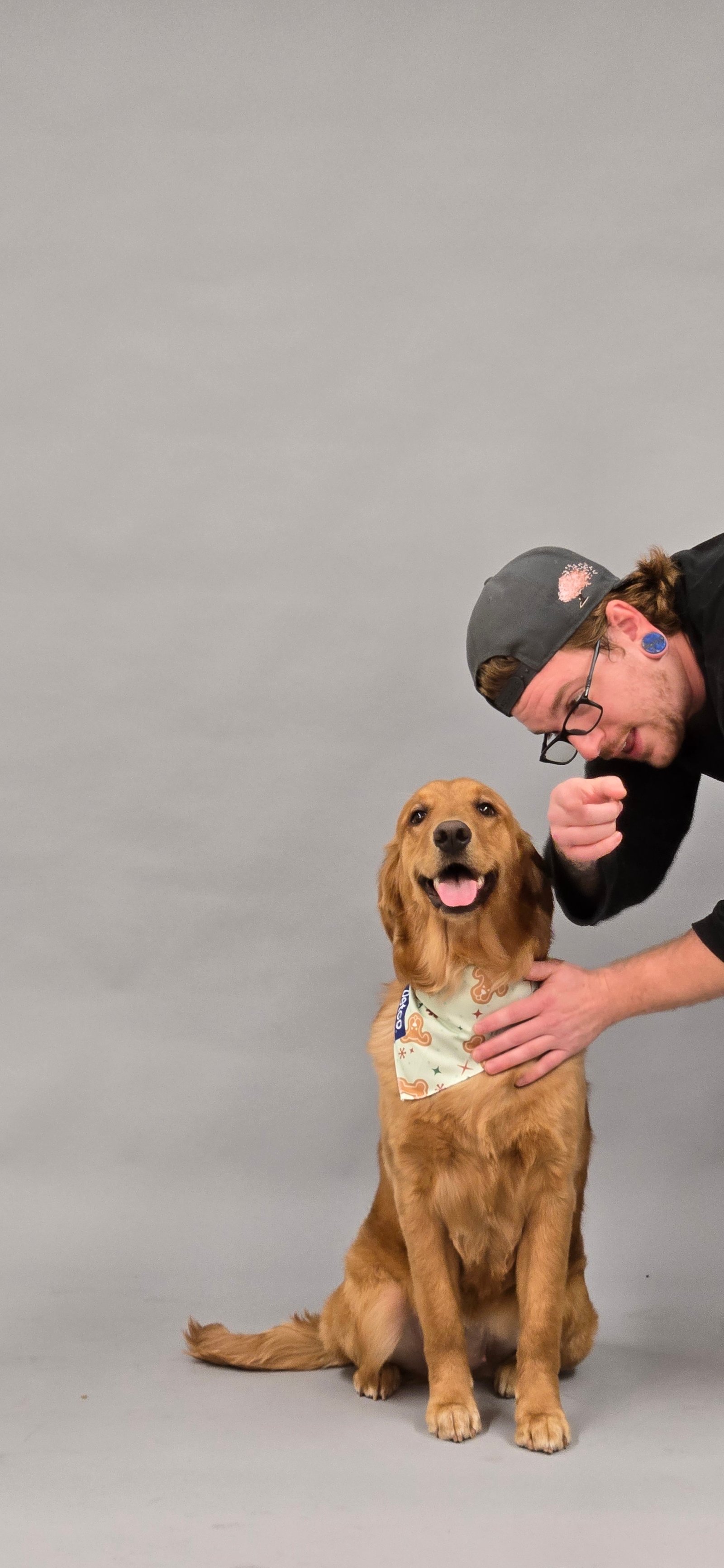 Robert Alongi in the Works